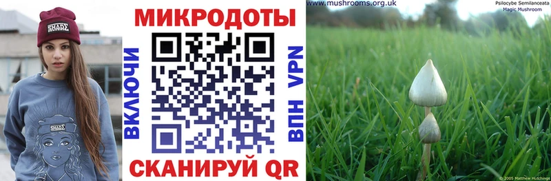 Галлюциногенные грибы ЛСД  МЕГА ONION  маркетплейс как зайти  как найти закладки  Тында 