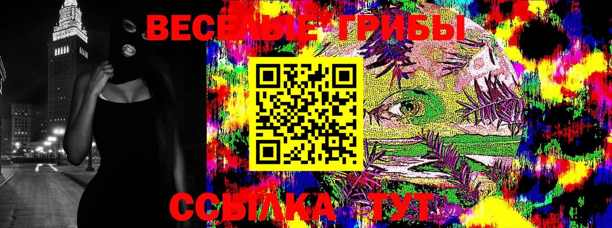 Галлюциногенные грибы GOLDEN TEACHER  Вход с VPN  Тында 
